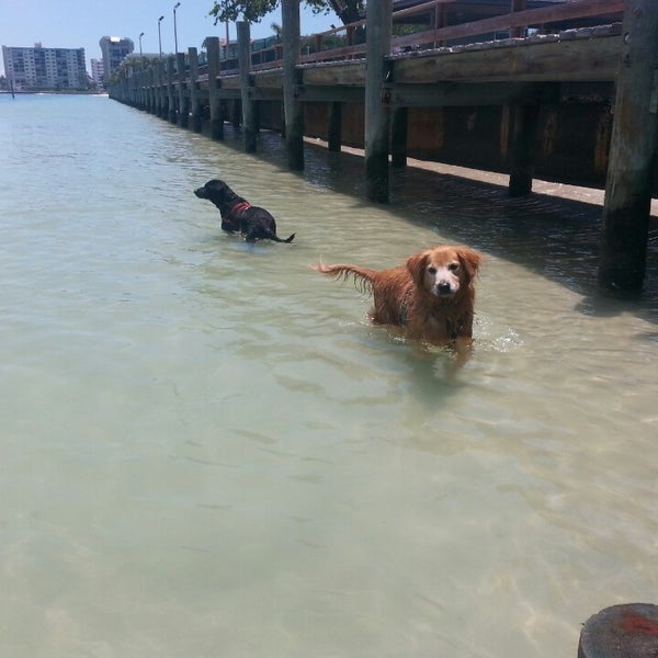 Sunset Beach Dog Beach Treasure Island, FL