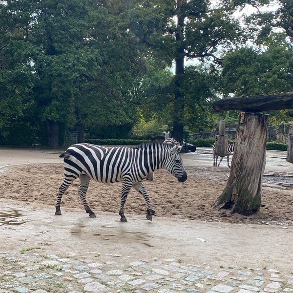 Photo taken at Zoo Berlin by Gülşah I. on 7/29/2023