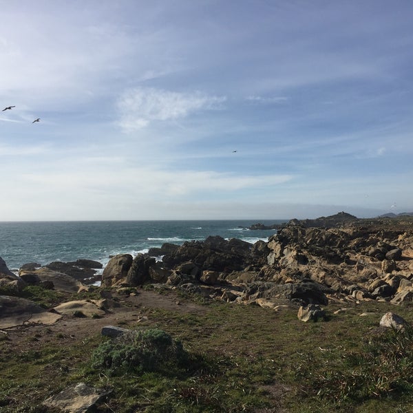 Salt point. Озеро виннипегосис солт пойнт. California state parks. Морской парк калифорнии пойнт рейес фото. Рюкзак marmot backcountry 30 black/grey.