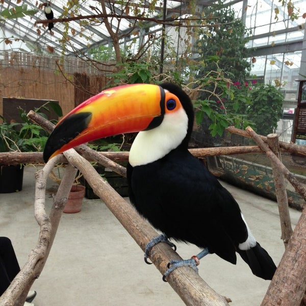 Photos at 神戸どうぶつ王国 (Kobe Animal Kingdom) - Zoo in 中央区 Photos at 神戸どうぶつ王国 (Kobe Animal Kingdom) - Zoo in 中央区