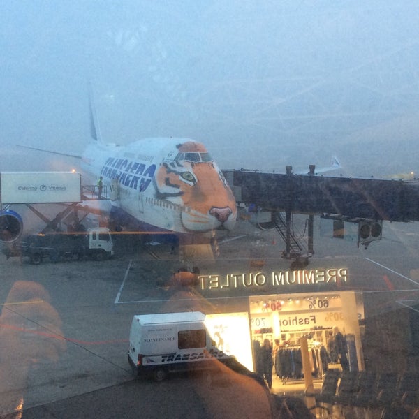 Международный аэропорт Внуково / Vnukovo International Airport (VKO ...