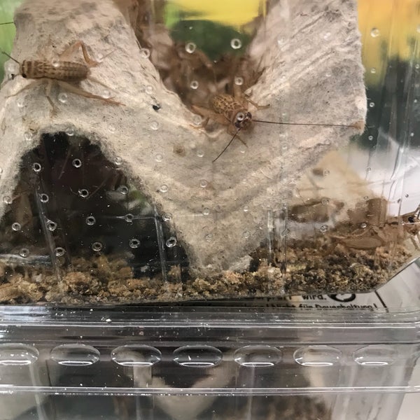 Dehner - Angerviertel - 3 Tipps