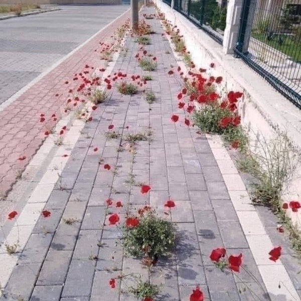 Foto diambil di Bilkent Center oleh €rdal D. pada 5/23/2022