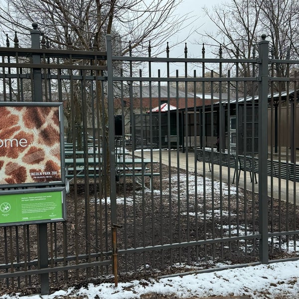 รูปภาพถ่ายที่ Lincoln Park Zoo โดย Steve S. เมื่อ 3/22/2024