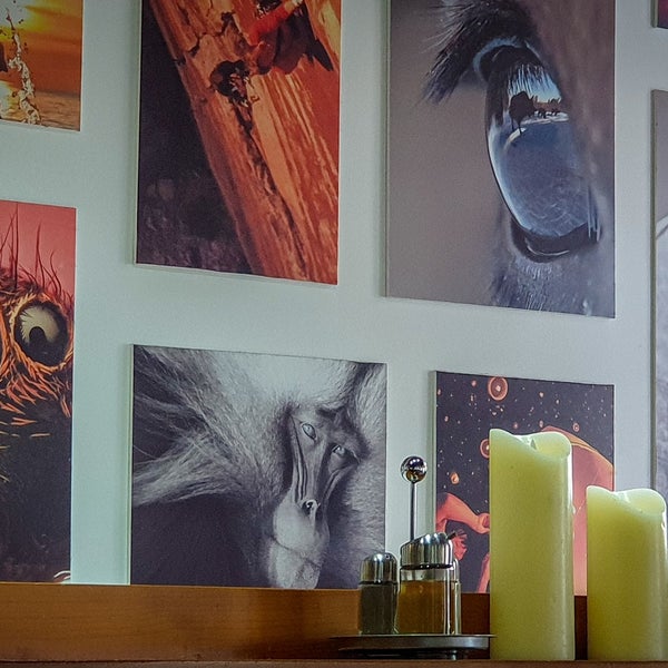 New House Restaurant in Център