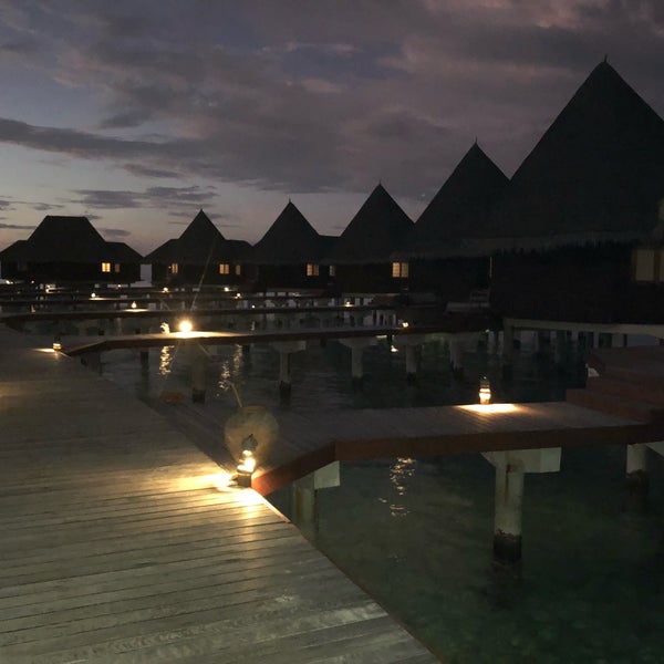 Coco Palm Dhuni Kolhu Sunset Lagoon Villa