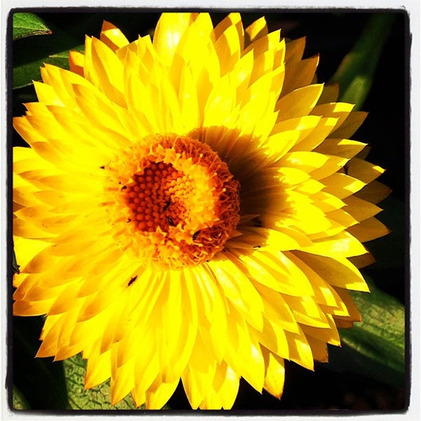 Plant Haven Whole Nursery Farm
