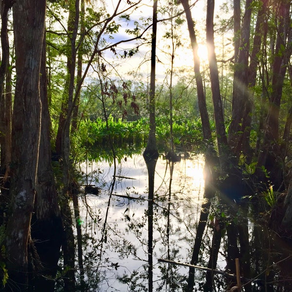 Photo taken at Audubon&#39;s Corkscrew Swamp Sanctuary by Kerri M. on 10/25/2017