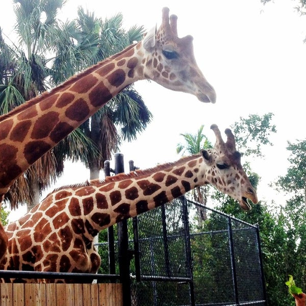 Naples Zoo Naples, FL