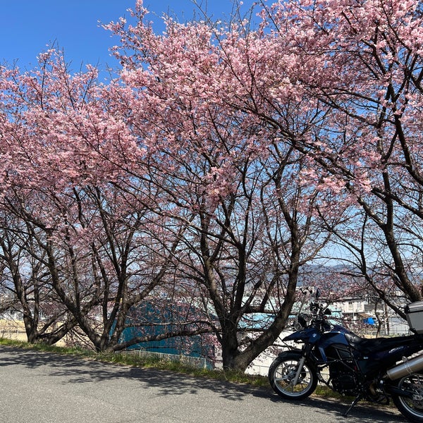 Photos At 富士見橋 酒匂川サイクリングコース起点 Bridge