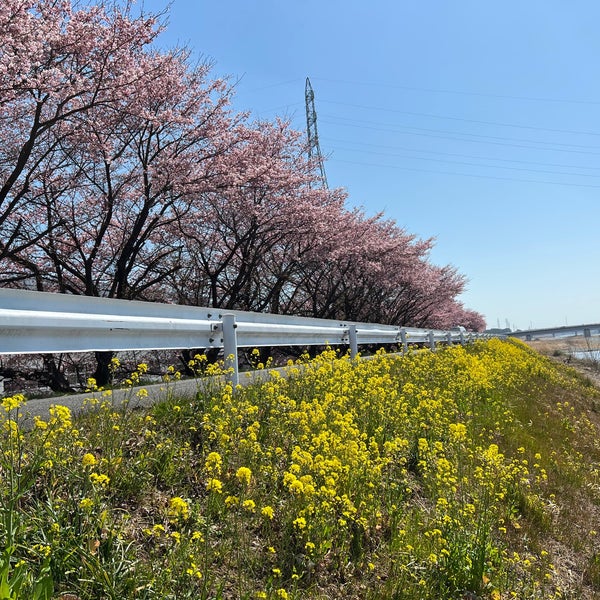 Photos At 富士見橋 酒匂川サイクリングコース起点 Bridge