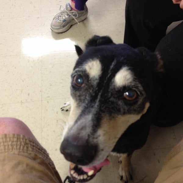 Photos at Beltway Animal Hospital - Oak Hill - 3 tips Photos at Beltway Animal Hospital - Oak Hill - 3 tips