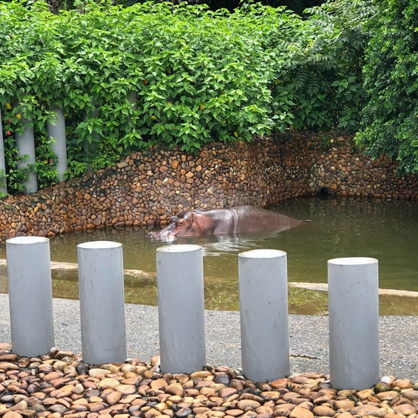 Parque Zoológico Municipal Quinzinho de Barros Zoológico Parque Zoológico Municipal Quinzinho de Barros Zoológico