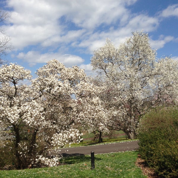 Photo taken at Morris Arboretum by Linda L. on 4/13/2013