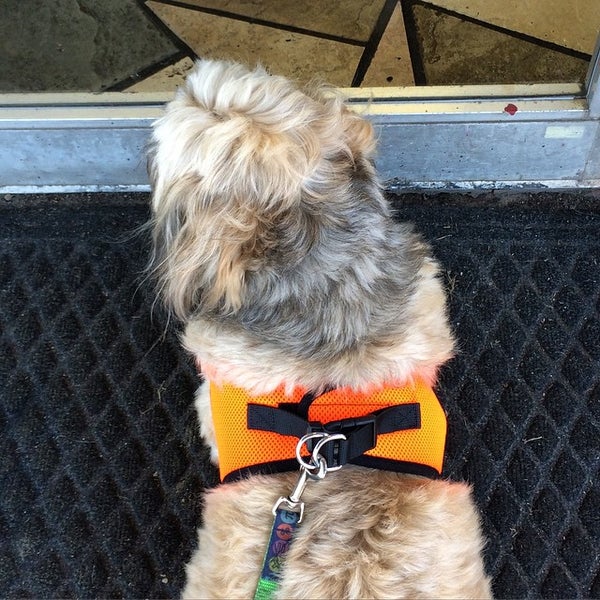 Olive Cafe Downtown Columbia Columbia, MO