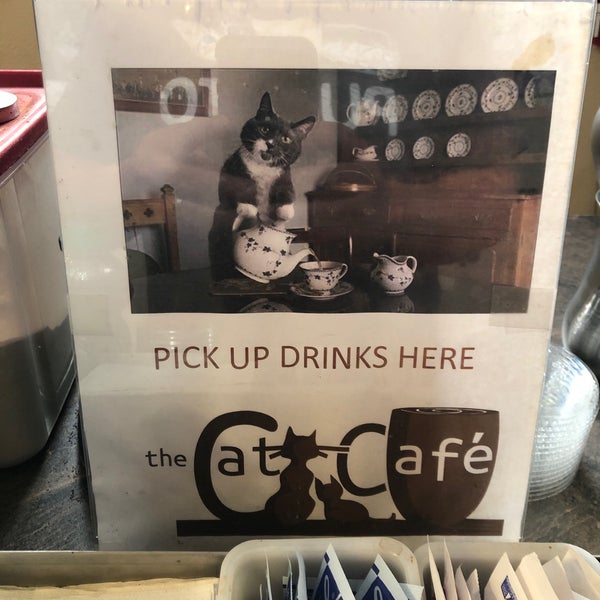 11/1/2018에 Jack M.님이 The Cat Cafe에서 찍은 사진