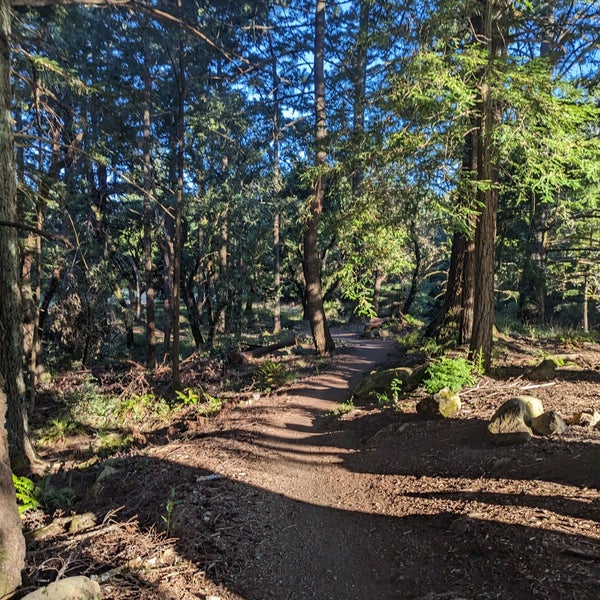 El Corte de Madera Open Space Preserve 15010 Skyline Blvd.