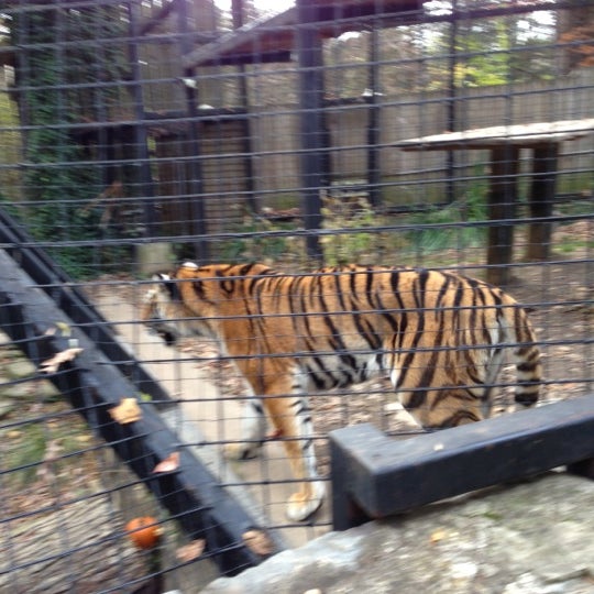 Foto scattata a Brandywine Zoo da Pablo W. il 11/18/2012