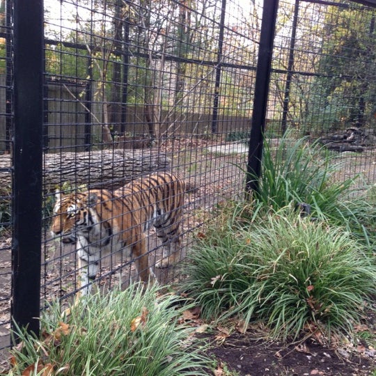 11/18/2012에 Pablo W.님이 Brandywine Zoo에서 찍은 사진