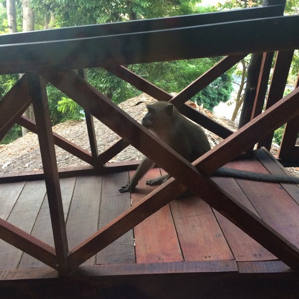 Maney Resort - Hotel