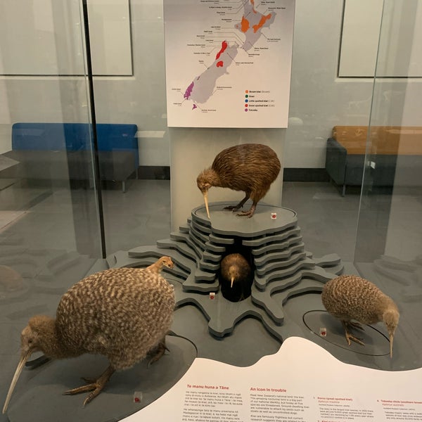 2/24/2023 tarihinde Laszloziyaretçi tarafından Auckland Museum'de çekilen fotoğraf