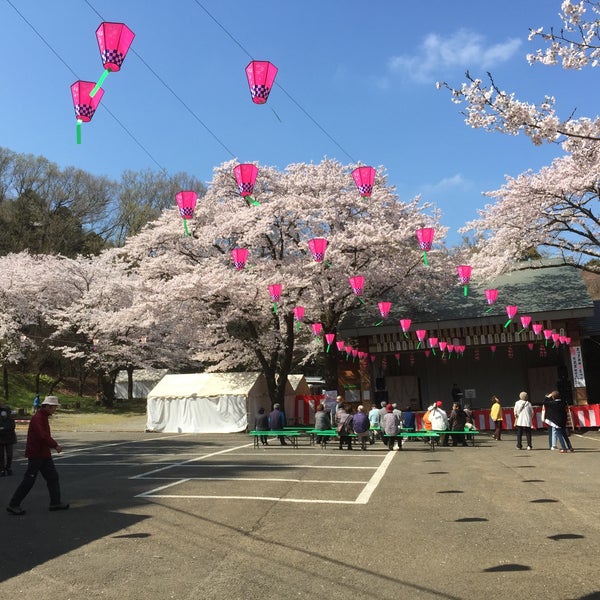 Photos At 飯山白山森林公園 厚木 0 Tips