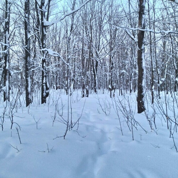 Парк ушакова ульяновск