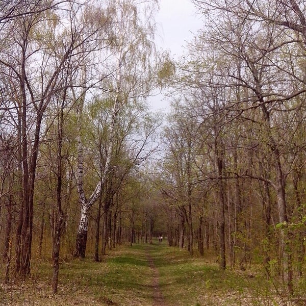 Парк ушакова ульяновск