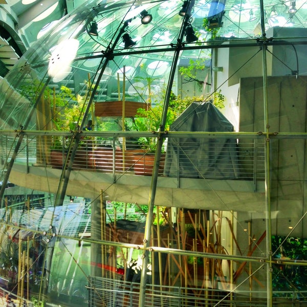 Foto tomada en California Academy of Sciences  por Eric W. el 4/16/2013