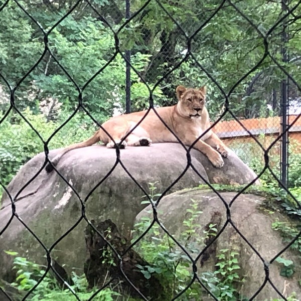 Photo taken at Henry Vilas Zoo by Jen S. on 8/11/2019