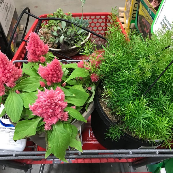 Lowe's Hardware Store in Topeka