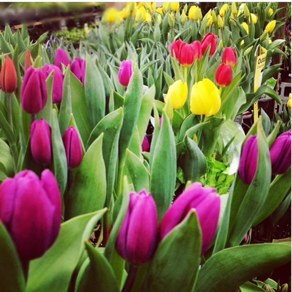 The Home Depot Flushing, NY