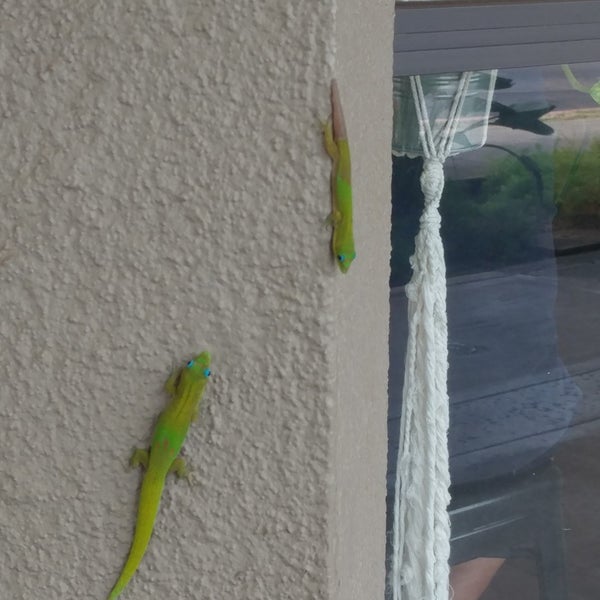 Azeka Shopping Center Makai Shopping Mall in Kīhei