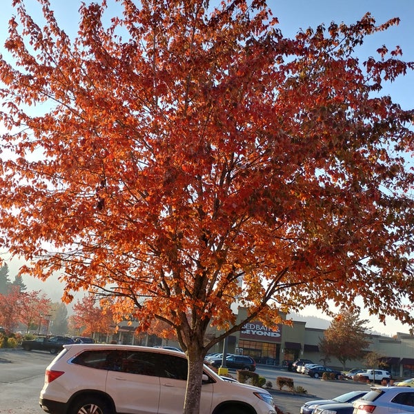 Photo taken at Issaquah Commons by MisterEastlake on 10/30/2017