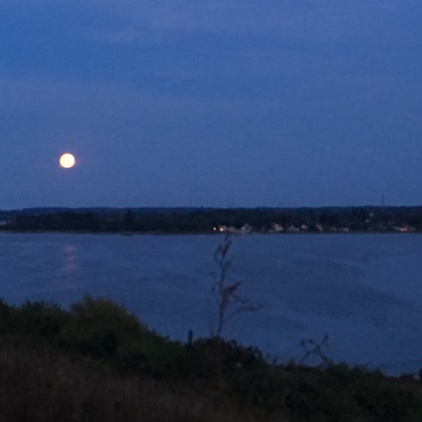 Stige Ø Odense, Region Syddanmark