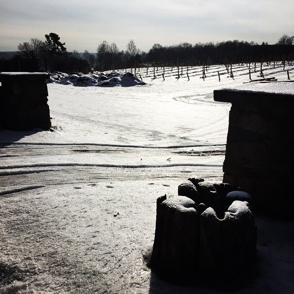 Photo taken at Red Maple Vineyard by the chillEmpress on 1/15/2015