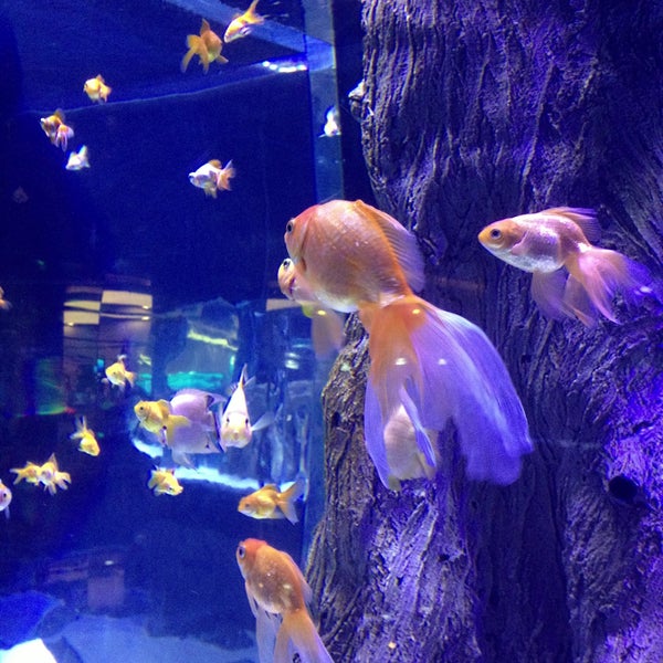 Photo taken at Antalya Aquarium by Hakan on 5/14/2013