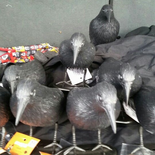 99 Cents Only Stores Discount Store in East Anaheim