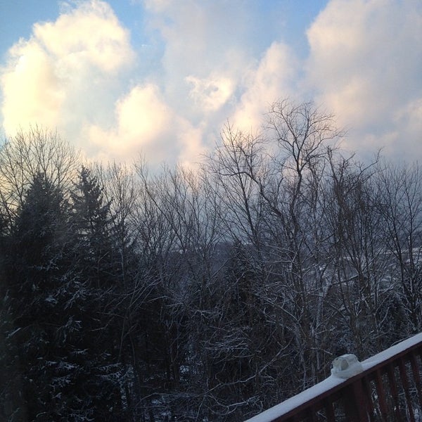 Elm Grove, West Virginia 335 visitors