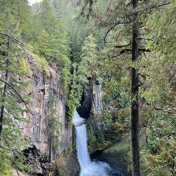 Toketee Falls