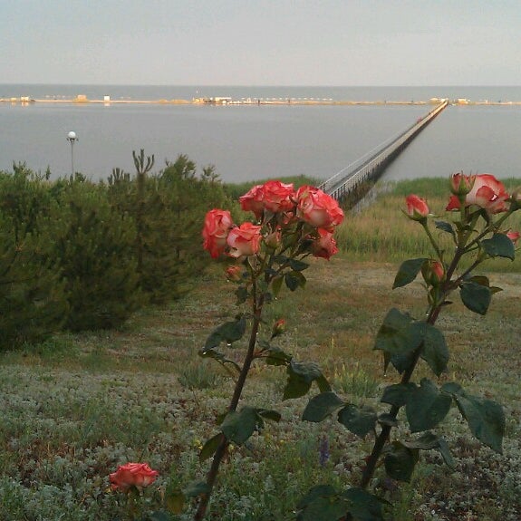 приморский район запорожская область. приморск украина. приморск 2022. город приморск запорожская область. село лозоватка приморский район.