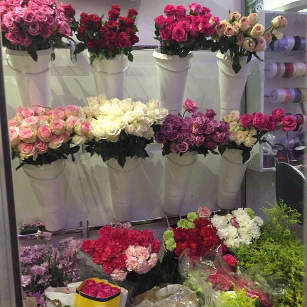 مبكر طرد دلو اخر محل ورد hotelnewhorizon com