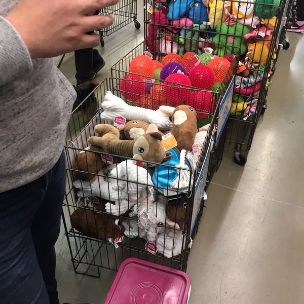 Petco San Antonio Nonoalco Mixcoac 12 tips