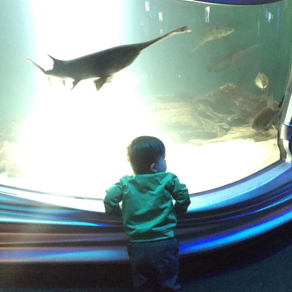 6/6/2015 tarihinde Erin L.ziyaretçi tarafından California Academy of Sciences'de çekilen fotoğraf