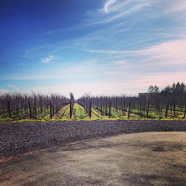 Photo taken at Benovia Winery by Erin L. on 1/19/2013