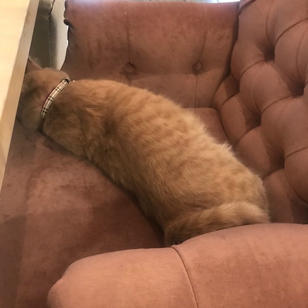 5/15/2017에 Mariya V.님이 Fat Cat에서 찍은 사진