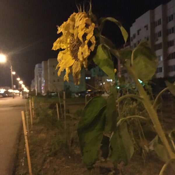 38 квартал сестрорецк. 38 квартал сестрорецк. квартал 43 район обручевский корп. сестрорецк многоэтажки. жк «квартал 38а строительная площадка.