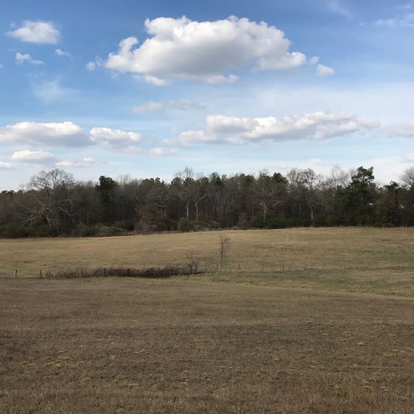 Chips Bar & Grill American Restaurant