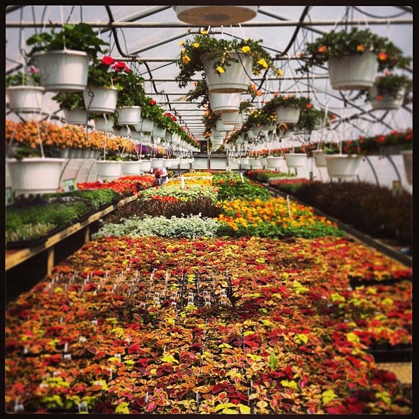 Millers Greenhouse 1 tip from 13 visitors