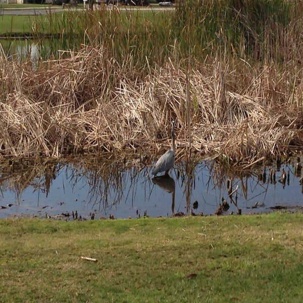 Photo taken at Rocky Point Golf Course by Keith F. on 1/26/2013